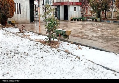 یاسوج سفید پوش شد