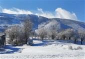 برف، کولاک و یخبندان خراسان جنوبی را در بر می‌گیرد