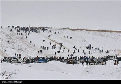 بارش برف در ابهر - زنجان