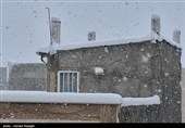 بارش برف در ابهر - زنجان