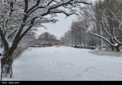 بارش برف در مرکز اردبیل به بیش از نیم متر رسید