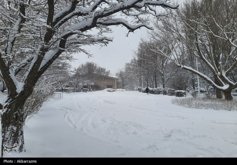 بارش برف در مرکز اردبیل به بیش از نیم متر رسید