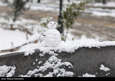 بارش برف زیبایی خاصی به اردبیل  بخشید