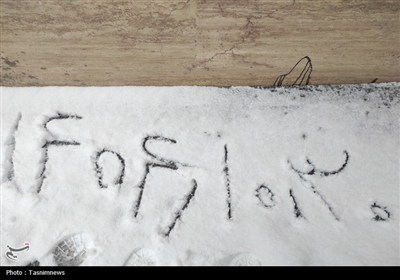 برف زمستانی