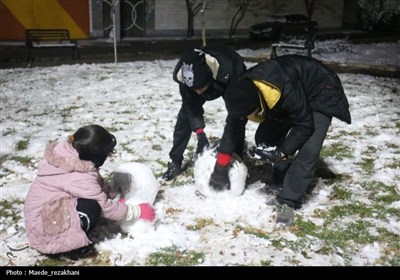 زیر بارش مهر؛ سپیده‌دم شادی در آغوش برف