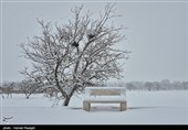 Снегопад в Иране — город Абхар