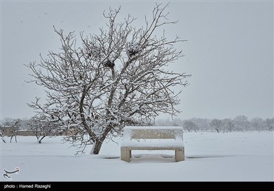 Снегопад в Иране — город Абхар