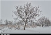 Снегопад в Иране — город Абхар