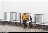 بارش برف زمستانی در شیراز