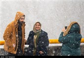بارش برف زمستانی در شیراز