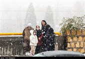 بارش برف زمستانی در شیراز