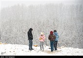 بارش برف زمستانی در شیراز