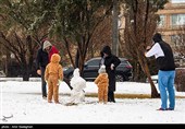 بارش برف زمستانی در شیراز