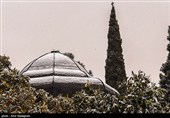 بارش برف زمستانی در شیراز