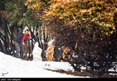 بارش برف زمستانی در شیراز