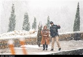 بارش برف زمستانی در شیراز