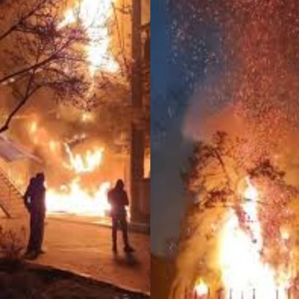 آتش سوزی جنگل ها و مراتع , اعتراض , اغتشاشات 1404 , مشهد مقدس , پایتخت , سید عباس عراقچی , جنگ تحمیلی , خرمشهر , کتاب , 