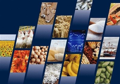 موانع واردات کالاهای اساسی و نهاده‌های رفع می‌شود