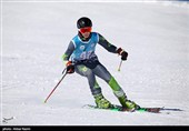 Национальный чемпионат Ирана по горнолыжному спорту