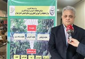 مزارع الگویی؛ موتور جهش بهره‌وری کشاورزی تهران