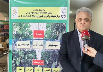 مزارع الگویی؛ موتور جهش بهره‌وری کشاورزی تهران