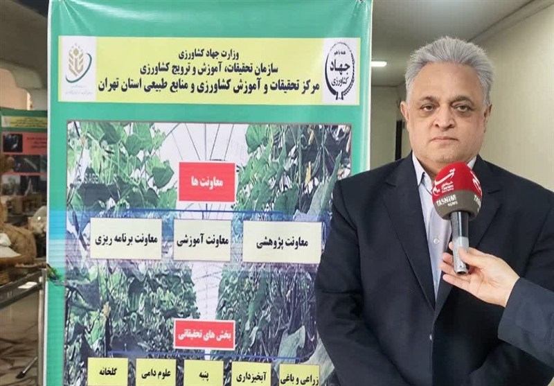 مزارع الگویی؛ موتور جهش بهره‌وری کشاورزی تهران