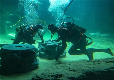 خانه تکانی در اعماق خلیج فارس؛ 200 پناهگاه بتنی برای نجات ثروت آبی قشم