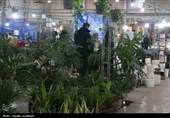 نمایشگاه تخصصی گل و گیاه و صنایع‌دستی قزوین