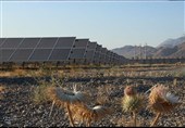 توسعه پایدار بدون توجه به محیط زیست محقق نمی‌شود