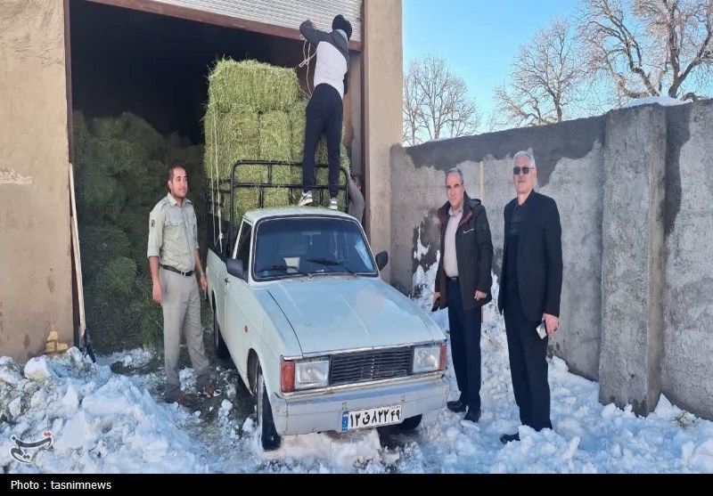 پایش و نظارت در محیط زیست , اخبار استان کهگیلویه و بویراحمد , 