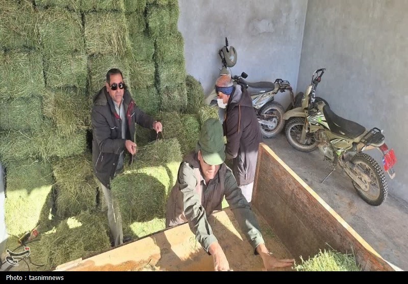 پایش و نظارت در محیط زیست , اخبار استان کهگیلویه و بویراحمد , 