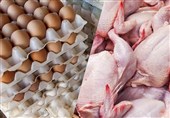 تولید 7800 تن گوشت مرغ برای روزهای پایانی سال