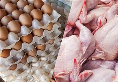 تخم مرغ در مشهد به 220 هزار تومان رسید/کاهش قیمت مرغ