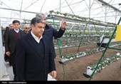 بهره‌برداری از گلخانه تولید توت‌فرنگی و مرغداری گوشتی در نمین