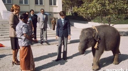 رضاخان پهلوی , محمدرضا پهلوی , 