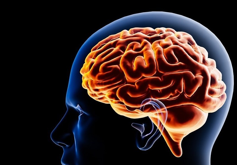 9حقیقت شگفت‌انگیز درباره مغز انسان+اصلاح باورهای غلط