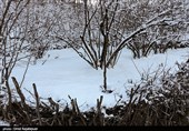 بارش برف در منطقه اشکورات گیلان