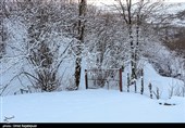 بارش برف در منطقه اشکورات گیلان