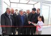 افتتاح گلخانه 11 هزار مترمربعی در تاکستان همزمان با دهه فجر