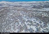 بارش برف در مناطق سردسیر خرم اباد
