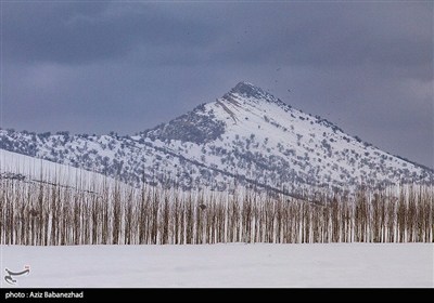 Зимняя природа Ирана - Хоррамабад