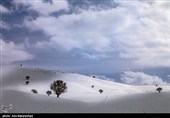 Зимняя природа Ирана - Хоррамабад
