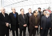 افتتاح مدرن‌ترین گلخانه در پارس‌آباد