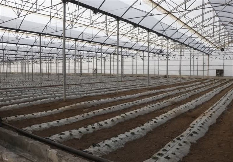 اخبار استان اردبیل , اخبار پارس‌ آباد , دهه فجر انقلاب اسلامی , 