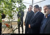 بازدید استاندار اردبیل از گلخانه‌ای هوشمند هیدروپونیک در پارس‌آباد