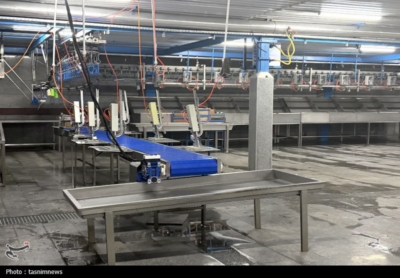 اخبار مریوان , اخبار استان کردستان , اخبار سنندج , 