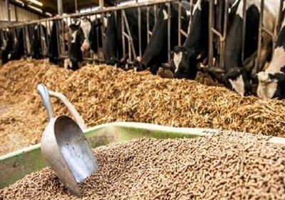 تدوین برنامه‌ای منسجم برای تزریق به‌موقع محصولات به بازار