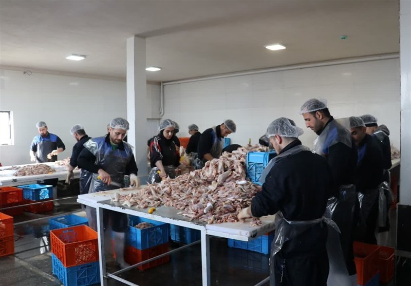 اخبار رشت , اخبار استان گیلان , فرماندار رشت , 