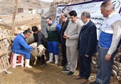 برگزاری رزمایش جهاد دامپزشکی در مشگین‌شهر