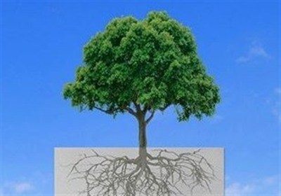 پویش جمع‌آوری کاغذ باطله برای مدرسه‌سازی در قزوین